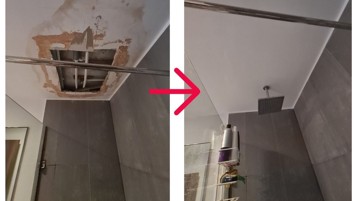 Painter and Decorator: Image 3